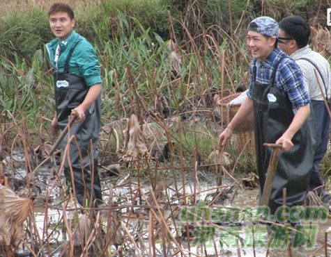 爸爸去哪兒?親密接觸荷花仙子 爸爸去哪兒?親密接觸荷花仙子