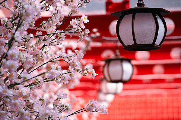 春節期間外出旅游 五大項須注意 春節期間外出旅游 五大項須注意