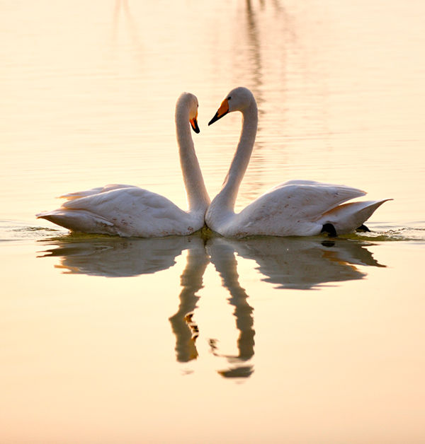 2014春節出游 河南最適宜四大景區 2014春節出游 河南最適宜四大景區