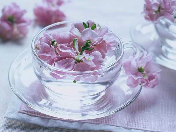 春游中原大地 一邊賞花一邊吃花 春游中原大地 一邊賞花一邊吃花