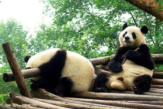 清明過后去哪玩 4月國內抄底游推薦