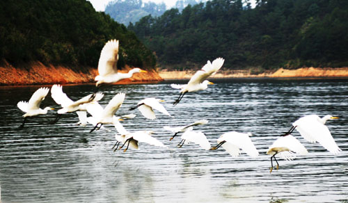 考完去哪兒？千島湖中、高考生門票大優(yōu)惠！