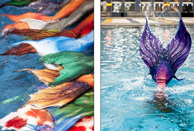 美國舉辦美人魚大會 超300名"人魚"盛裝參加 美國舉辦美人魚大會 超300名"人魚"盛裝參加