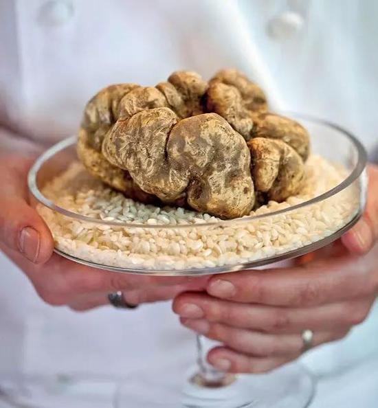 世界上最貴的食物 吃一口傾家蕩產