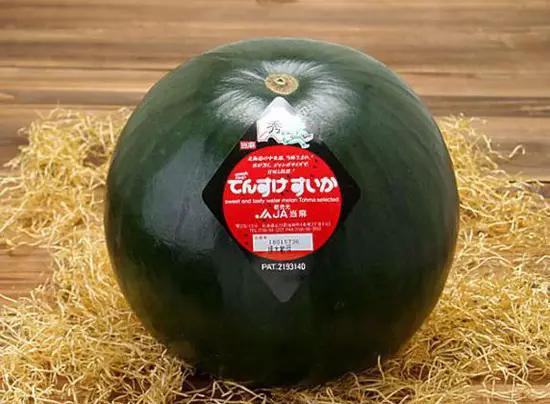 世界上最貴的食物 吃一口傾家蕩產