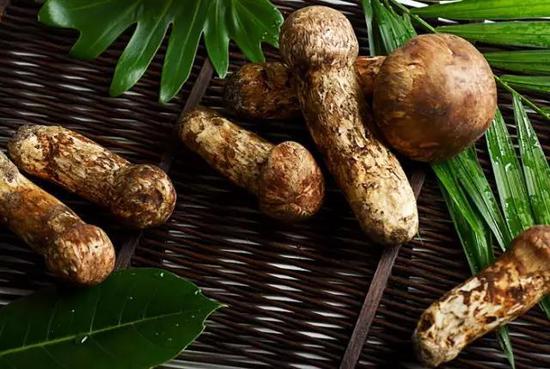 世界上最貴的食物 吃一口傾家蕩產