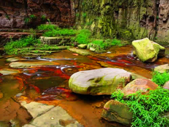 [旅游攻略]初秋山紅枝綴與龍潭峽來一場“優惠”