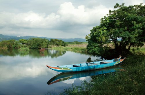 關渡賞鳥趣樂繽紛