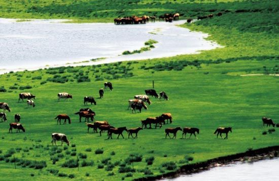 　　處處翠色欲流,馬兒自然入畫?！? complete=