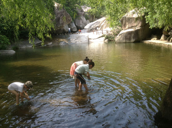 端午親水游 免費(fèi)龍?zhí)稖? alt=