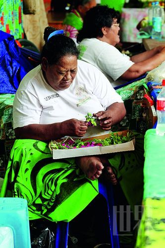 艷麗的色彩 艷麗的色彩