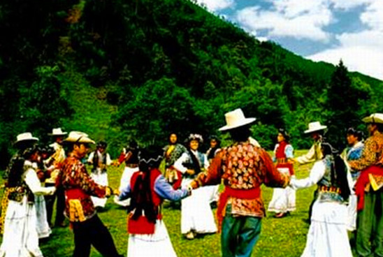 昆明無處不飛花 昆明 跑馬節