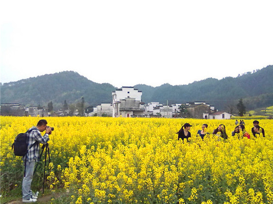 婺源清明節三天自由行 婺源清明節三天自由行