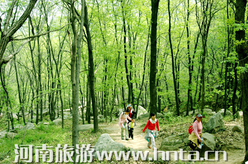 美酒晚會比賽一個都不少 四月到金頂山景區樂翻天