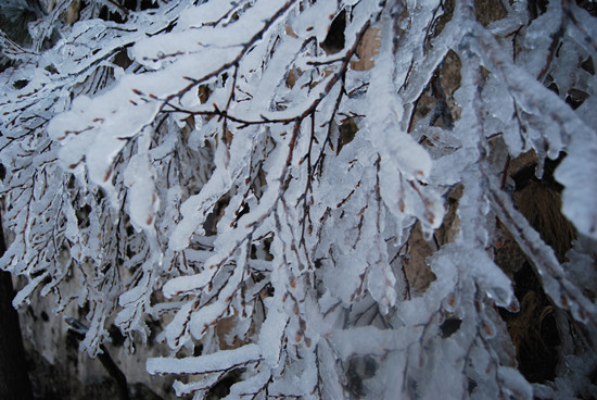 堯山景區 拍攝日期：4月20日