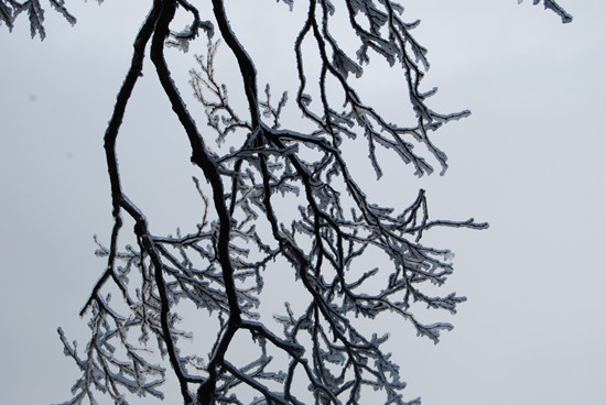 堯山景區 拍攝日期：4月20日