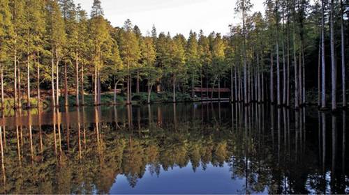 金秋時(shí)節(jié) 到信陽(yáng)雞公山享受慢旅游生活