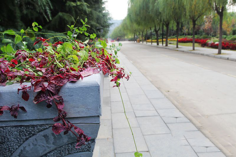 初冬旅游正此時 騎行走進黃河風景名勝區 初冬旅游正此時 騎行走進黃河風景名勝區