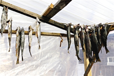 長白山腳下一家小餐館內晾曬的冷水魚。