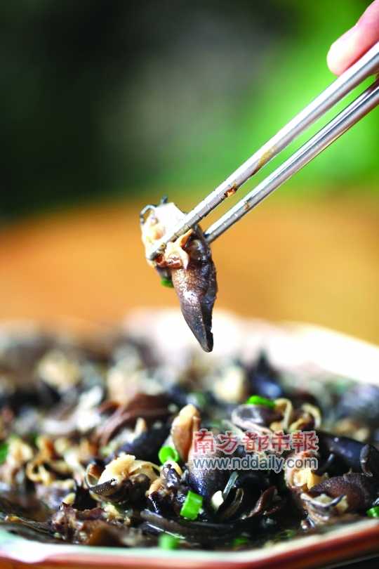 蒜蓉粉絲蒸蝸牛。