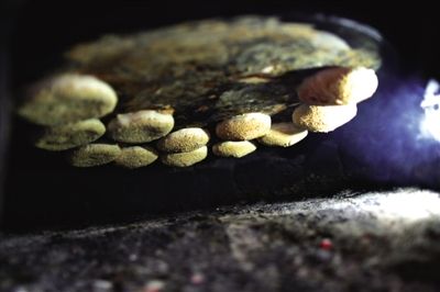 吊爐燒餅是黃驊最典型的面食之一，這種手藝在一些老院子里已經(jīng)傳承了上百年時間。