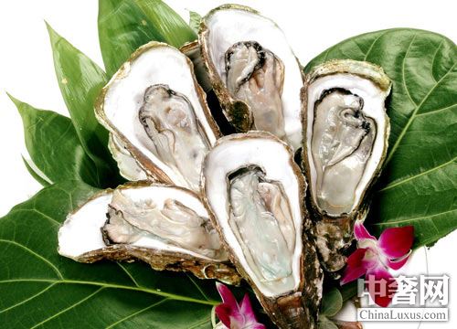 北半球好蠔不止法國 美加鮮味更足 北半球好蠔不止法國 美加鮮味更足