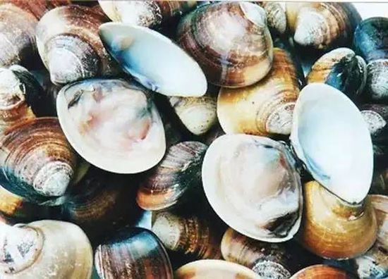 秋季最適合吃的海鮮是這10種 你吃對(duì)了嗎？