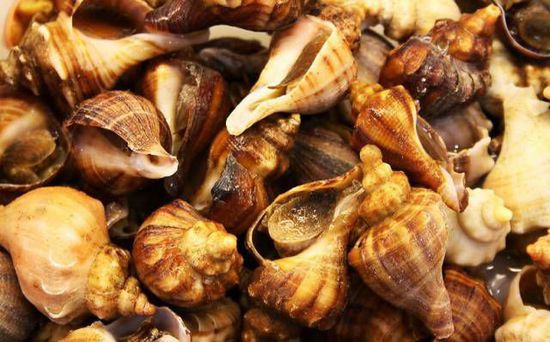 秋季最適合吃的海鮮是這10種 你吃對(duì)了嗎？