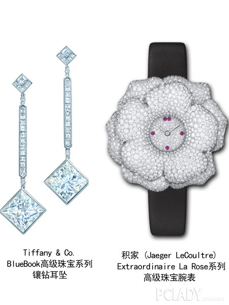 金像獎紅毯珠寶暗戰 趙薇楊千嬅阿Sa千萬行頭誰最貴