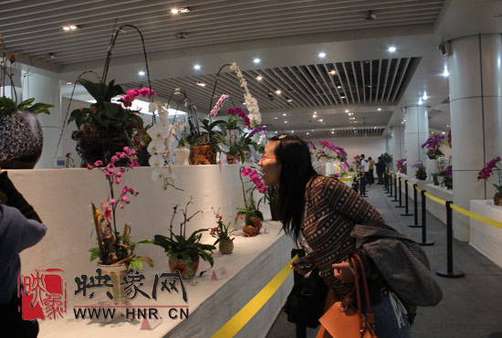 “溫馨九九重陽節 陪著父母去游園”活動圓滿舉行