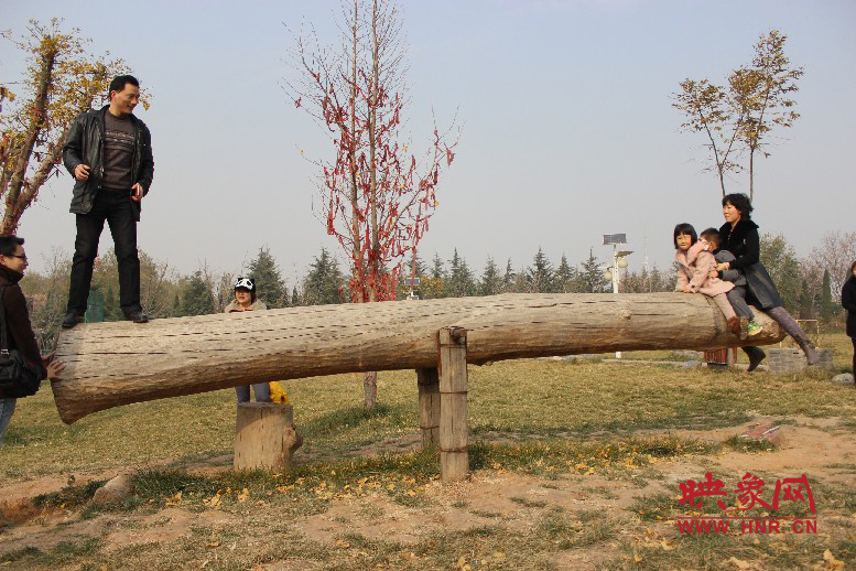 巨大的蹺蹺板，一棵樹(shù)。。。看玩的多嗨