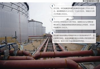 　審計發現的部分問題