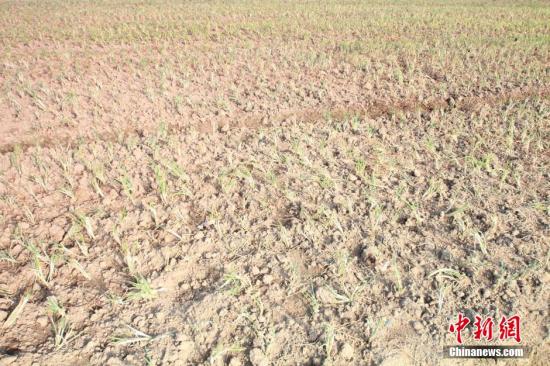 2014年7月31日早晨，浙江紹興市區(qū)蔬菜批發(fā)市場旁邊的土地已經(jīng)發(fā)生開裂。