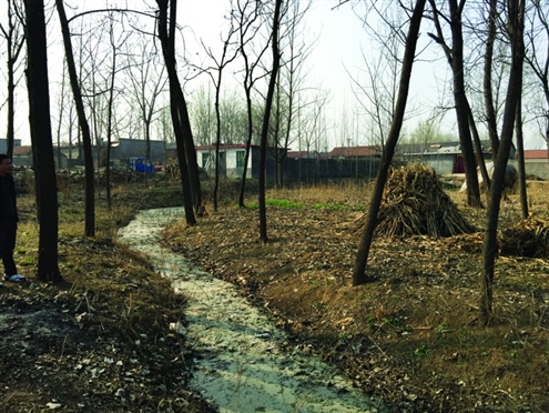 486臺兒莊戰役將士埋骨荒野 紀念設施或年內落成 486臺兒莊戰役將士埋骨荒野 紀念設施或年內落成