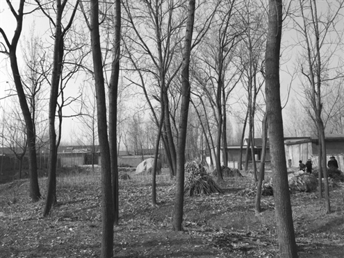 486臺兒莊戰役將士埋骨荒野 紀念設施或年內落成 486臺兒莊戰役將士埋骨荒野 紀念設施或年內落成