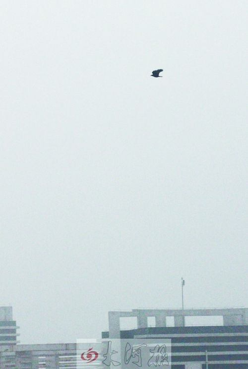 全省35個縣市發(fā)布惡劣天氣預警信號，其中15個發(fā)布大霧紅色預警