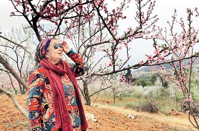 公式“時(shí)尚奶奶”的賞花照，收獲了好多人的點(diǎn)贊。 受訪者供圖