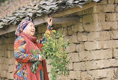 公式“時(shí)尚奶奶”的賞花照，收獲了好多人的點(diǎn)贊。 受訪者供圖