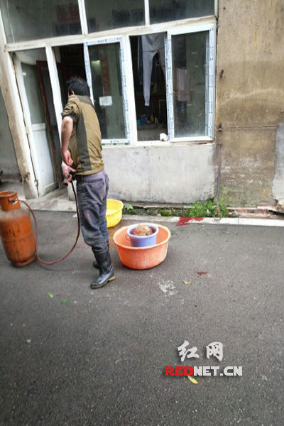 5月8日，男子在校園里殺狗，地上殘留一塊血跡。目擊者供圖。