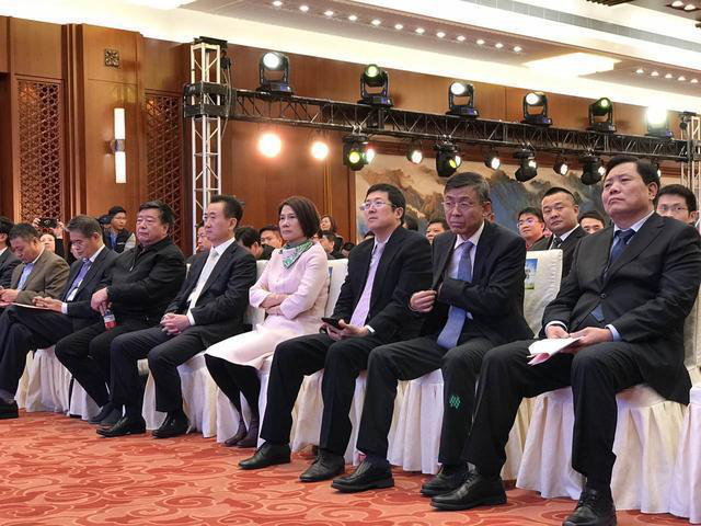 董明珠在現場演講時表示，她愿意拿她所有的資產投入到珠海銀隆里。據悉，同時與珠海銀隆原始股東共同簽署增資協議的，還有董明珠個人及北京燕趙匯金國際投資有限責任公司、大連萬達集團股份有限公司、江蘇京東邦能投資管理有限公司等3家知名企業，5家單位或個人共同增資30億，獲得珠海銀隆22.388%的股權。