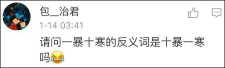 鶴立雞群?雞立鶴群!