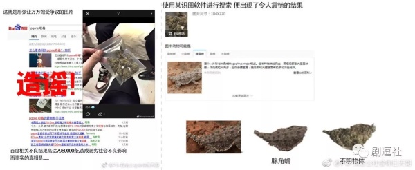 PGone又教給我們一個(gè)新詞:虐粉。