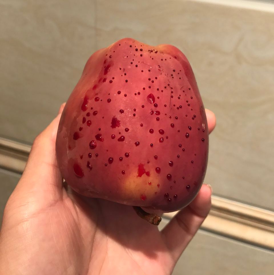 嚇懵！女子用熱水泡蘋果結(jié)果冒出血珠 咋回事？