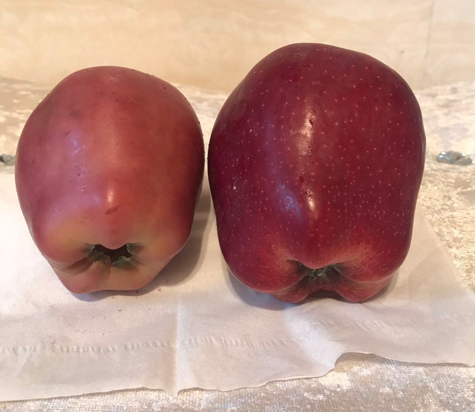 嚇懵！女子用熱水泡蘋果結(jié)果冒出血珠 咋回事？