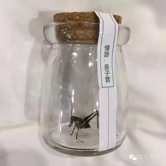 看看我的成果吧! 看看我的成果吧!