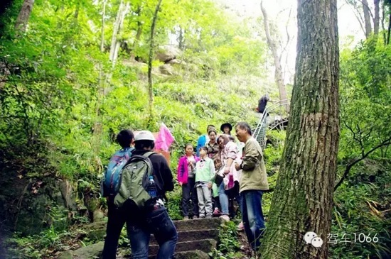 原來真的是全程跟拍呢! 原來真的是全程跟拍呢!