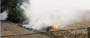 鄭州深陷“霾”伏 都是燒秸稈惹的禍? 鄭州深陷“霾”伏 都是燒秸稈惹的禍?