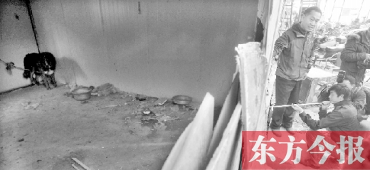 12月4日，鄭州市未來路與隴海路交叉口西側，執法人員用吹管麻醉針對付一只藏獒