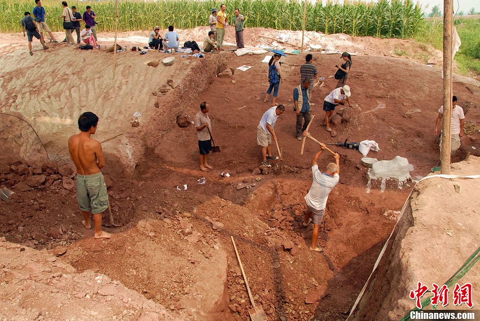 恐龍化石發掘現場。