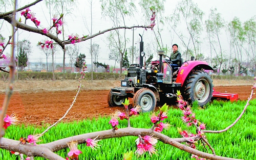　　3月25日，武陟縣龍?jiān)崔k事處東馬曲村村民正在田里耕作。時(shí)下正值春耕時(shí)節(jié)，武陟農(nóng)民紛紛抓住有利時(shí)機(jī)